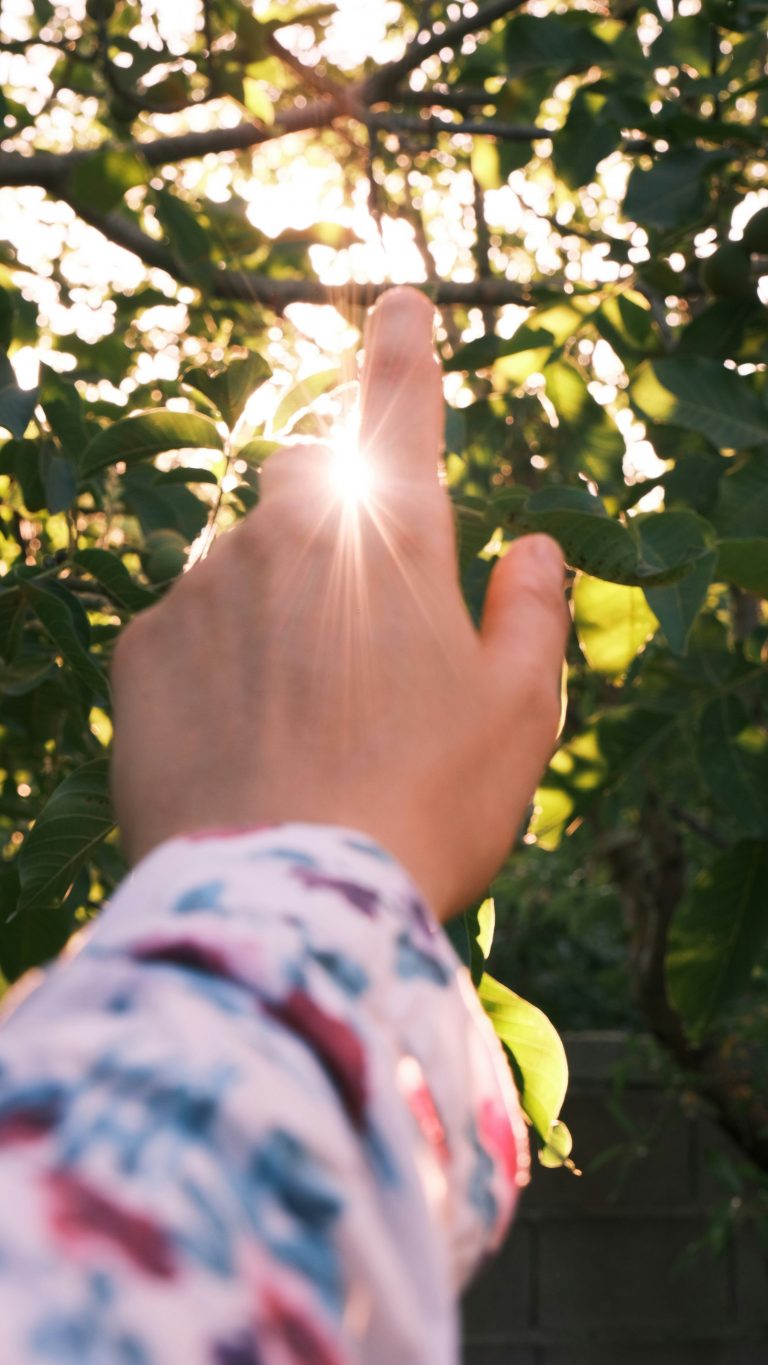 S’émerveiller du simple fait d’être vivant